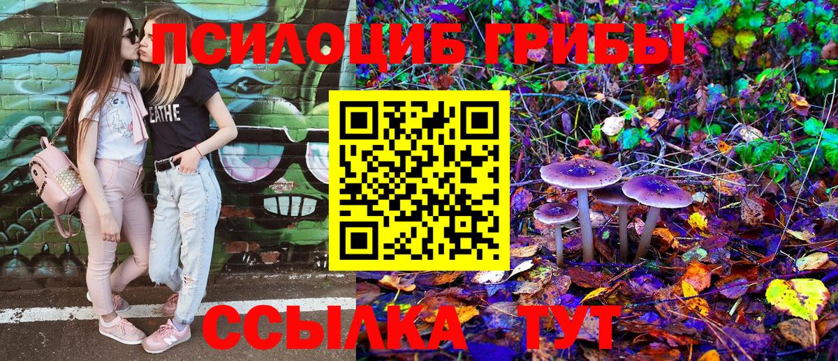 Галлюциногенные грибы GOLDEN TEACHER Воскресенск
