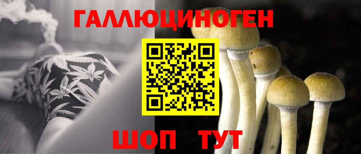 Галлюциногенные грибы MAGIC MUSHROOMS  Псилоцибиновые грибы Cubensis  Воскресенск  Вход с VPN 